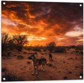 Tuinposter – Dieren - Honden - Landschap - Zonsondergang - Planten - 80x80 cm Foto op Tuinposter (wanddecoratie voor buiten en binnen)