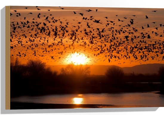 Hout - Dieren - Vogels - Planten - Zonsondergang - Water - 60x40 cm - 9 mm dik - Foto op Hout (Met Ophangsysteem)