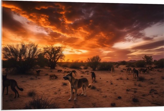 Acrylglas - Dieren - Honden - Landschap - Zonsondergang - Planten - 105x70 cm Foto op Acrylglas (Met Ophangsysteem)