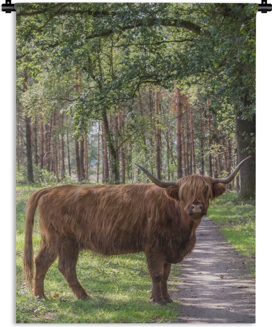 Wandkleed - Wanddoek - Schotse Hooglander - Pad - Boom - 120x160 cm - Wandtapijt