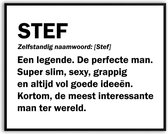 Stef Woordenboek Fotolijst met glas 30 x 40 cm - Prachtige kwaliteit - jarig - verjaardag - kado - Canvas - incl ophangsysteem - Poster - Grappig - cadeau