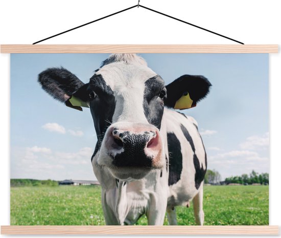 Posterhanger incl. Poster 60x40 cm - Schoolplaat - Koe - Weiland - Natuur - Dieren - Gras - Textielposter - Blanke latten