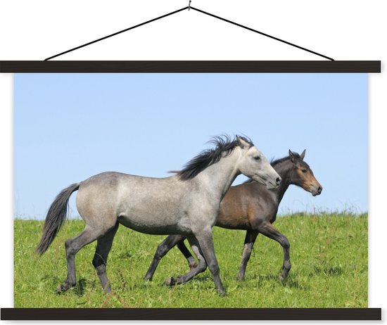 Affiche textielposter cheval marron et gris 150x100 cm