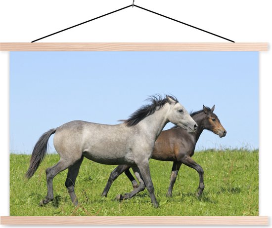 Affiche textielposter cheval marron et gris 120x80 cm