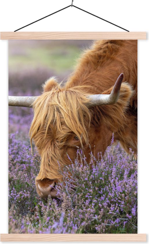 Porte-affiche avec affiche - Affiche scolaire - Scottish Highlander - Animaux - Heather - 120x180 cm - lattes vierges