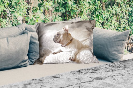 Coussins d'extérieur - Jardin - Bouledogue français Witte regarde de côté - 60x40 cm