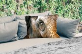 Buitenkussens - Tuin - Olifant - Close up - Dieren - Natuur - 50x30 cm