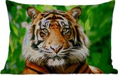 Buitenkussens - Tuin - Sumatraanse tijger in de jungle - 50x30 cm
