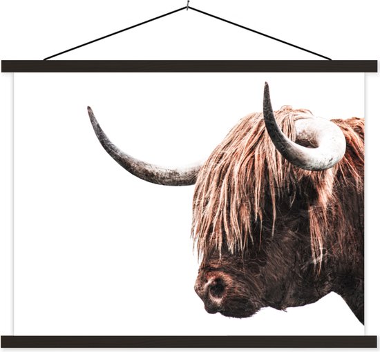 Porte-affiche avec affiche - Affiche scolaire - Highlander écossais - Vache - Corne - 120x90 cm - Lattes noires