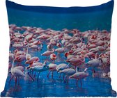 Buitenkussen Weerbestendig - Flamingo - Water - Tropisch - Water - Roze - 50x50 cm