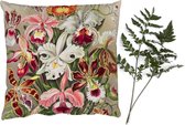Sierkussens - Kussentjes Woonkamer - 40x40 cm - Bloemen - Ernst Haeckel - Vintage - Orchidee
