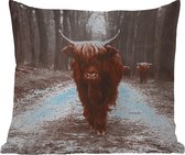 Sierkussen Buiten - Schotse hooglander - Bos - Koe - Dieren - Natuur - 60x60 cm - Weerbestendig