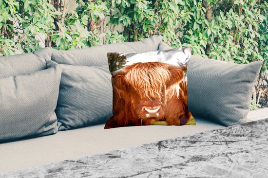 Buitenkussen - Schotse Hooglanders - Bruin - Gras - 45x45 cm - Weerbestendig