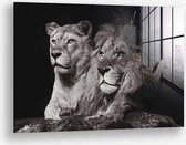 Wallfield™ - Lion Couple | Glasschilderij | Gehard glas | 60 x 90 cm | Magnetisch Ophangsysteem
