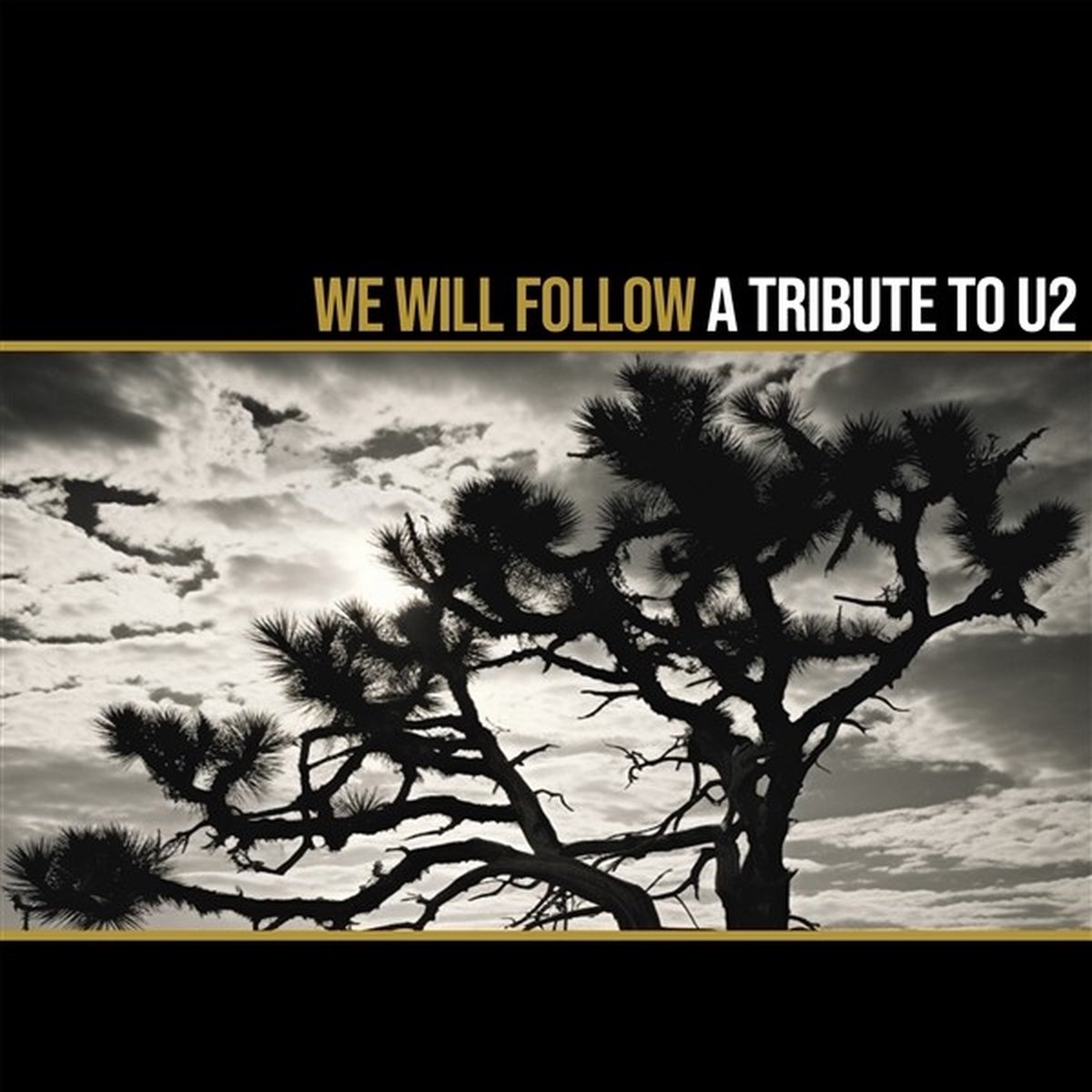 Various Artists - We Will Follow (LP) (Coloured Vinyl)