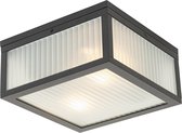 QAZQA charlois - Moderne Plafondlamp voor buiten - 2 lichts - L 24 cm - Zwart - Buitenverlichting