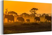 Wanddecoratie Metaal - Aluminium Schilderij Industrieel - Kudde olifanten bij zonsopkomst - 40x20 cm - Dibond - Foto op aluminium - Industriële muurdecoratie - Voor de woonkamer/slaapkamer