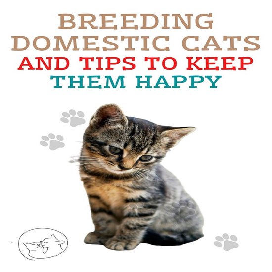 Breeding Domestic Cats and Tips to Keep Them Happy - cover