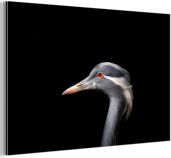 Wanddecoratie Metaal - Aluminium Schilderij Industrieel - Vogel - Dieren - Portret - 120x80 cm - Dibond - Foto op aluminium - Industriële muurdecoratie - Voor de woonkamer/slaapkamer