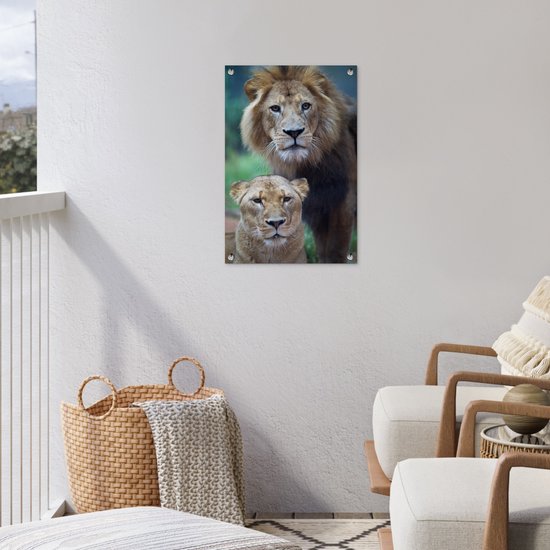 Poster Jardin Lion et Lionne 40x60 cm - petit - Toile de jardin / Toile d'extérieur / Peintures d'extérieur (décoration de jardin)