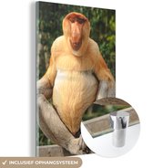 MuchoWow® Peinture sur Verre - Un Singe Proboscis sur une Clôture - 60x90 cm - Peintures sur Verre Acrylique - Photo sur Glas
