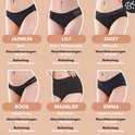 Aperçu de six modèles différents de culottes menstruelles Bamboozy : Jasmim, Lily, Daisy, Roos, Madelief et Emma.