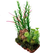 Nobleza aquariuminrichting - ornament - decoratie aquarium - rots - planten