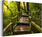 Belle forêt tropicale et jungle Aluminium 60x40 cm - Tirage photo sur aluminium (décoration murale en métal)