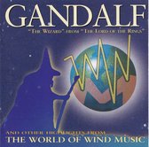 Gandalf-The Wizard From T