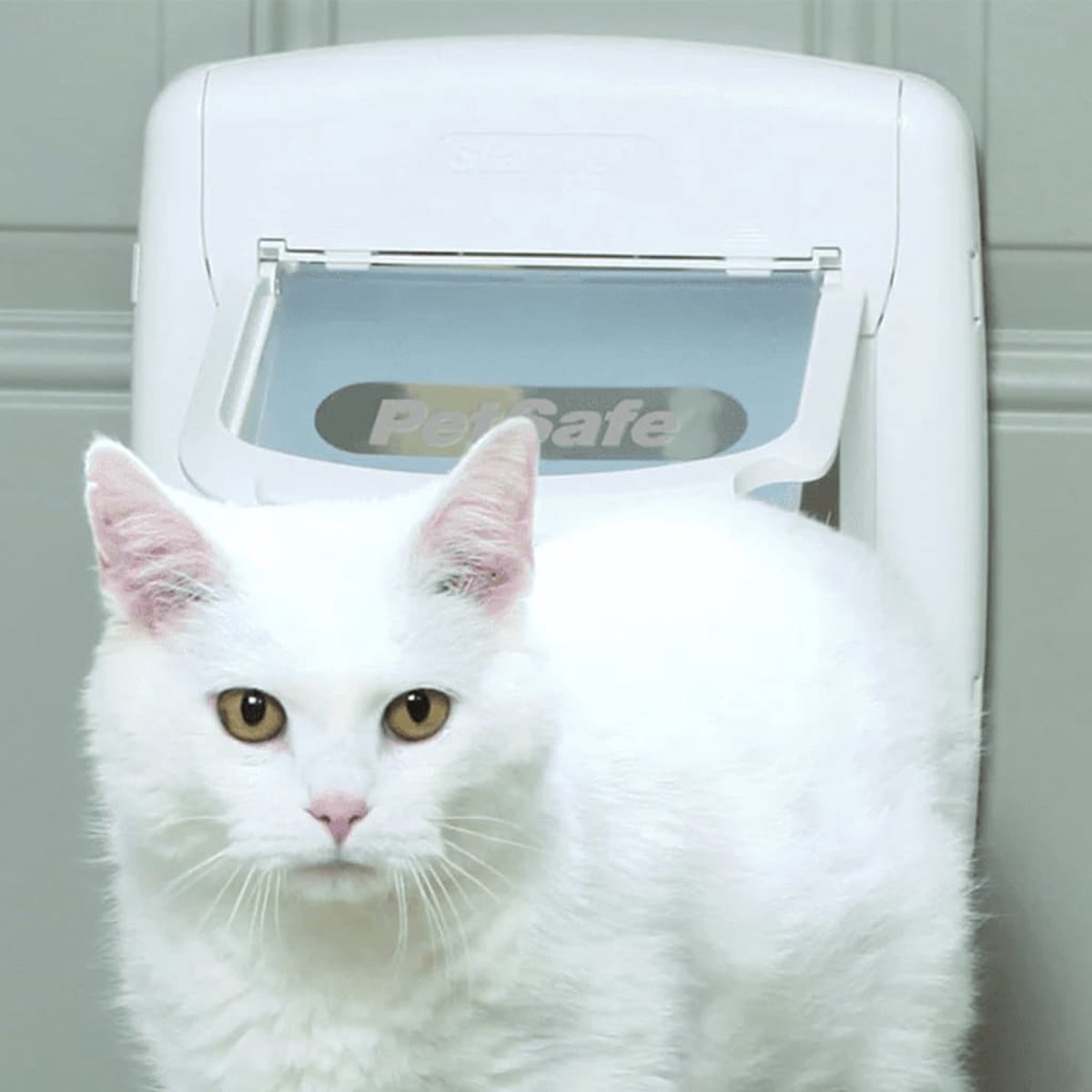 Petsafe Kattenluik 400 thumbnail 3