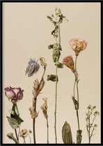 Poster Gedroogde bloemen - Natuur poster - 50x70 cm - exclusief lijst - WALLLL