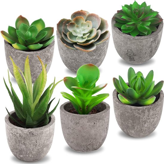 BTSD-home 12-delige set nepplanten, kleine kunstmatige planten voor binnen, voor thuis, kantoor, badkamer, bureaudecor