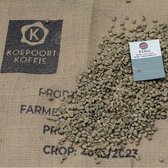Kenia Sakami - Gloria single farmer lot natural - Direct Trade - ongebrande groene koffiebonen - 1 kg