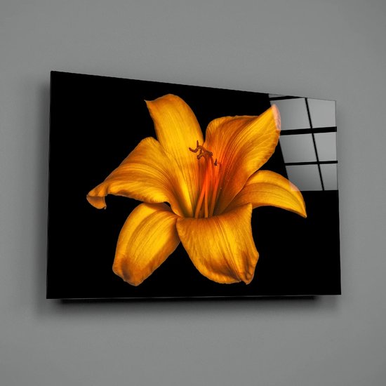 Glasschilderij - Bloemen - Gele Lelie - Geel - Zwart - 110x70 cm - 4 mm