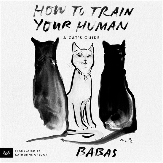 How to Train Your Human - cover