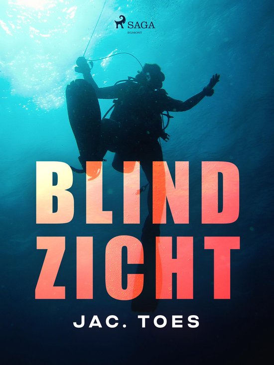 Blind zicht - cover