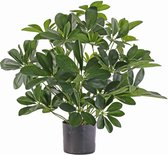 Schefflera-baby struik-kunstplant-282 bladeren-50cm-Ø 45cm