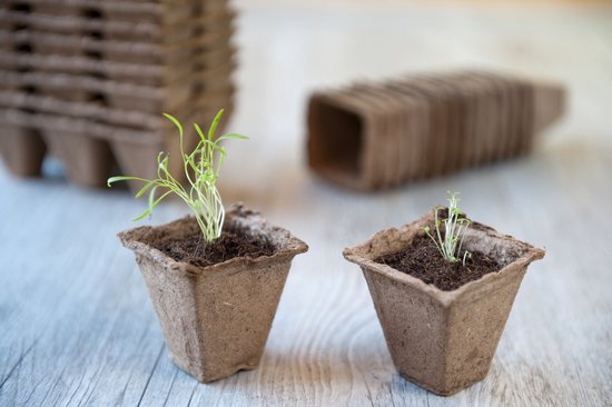 Nature - Biopottrays 4 x 4 x 5cm - (6 x 15st.) - stekpotje - biologisch ...