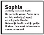 Sophia Woordenboek Fotolijst met glas 50 x 70 cm - Prachtige kwaliteit - jarig - verjaardag - kado - Canvas - incl ophangsysteem - Poster - Grappig - cadeau
