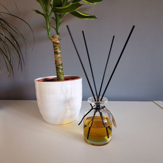 Een glazen flesje met gele geurvloeistof en vijf zwarte geurstokjes, naast een witte pot met groene plant.