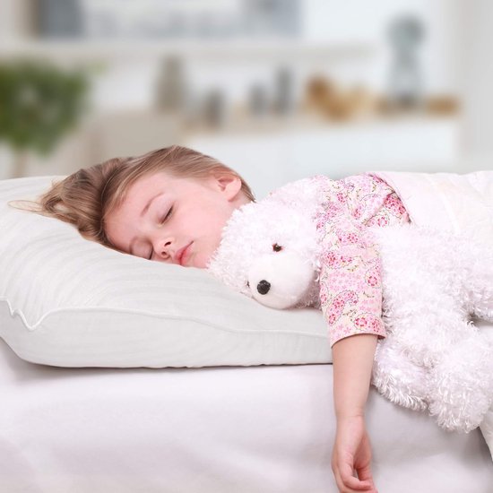 Zacht Biologisch Hoofdkussen voor Kinderen - Ruimte Kasteel.nl