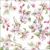 1 Pakje papieren lunch servetten - Spring blossom white - 33x33cm - Lente - Bloesem