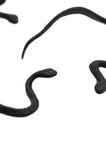 FUNIDELIA Moordenaar Slangen voor Volwasennen - Zwart