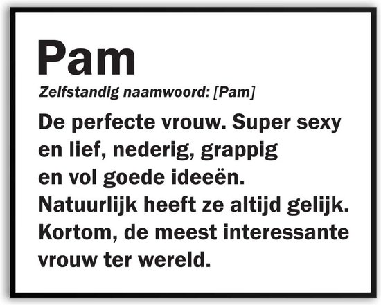 Pam Woordenboek Grappig Fotolijst met glas 40 x 50 cm - Cadeau - Kado - Schilderij - Muur - Verjaardag - foto - Poster - incl ophangsysteem