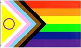 Regenboog Progress Pride vlag 90x150 cm - Polyester - 2 ophangringen - rainbow flag