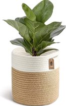 Panier de plantes, panier de rangement tissé, pour pots de fleurs de 20 cm, 20 cm x 20 cm, panier de rangement, organisateur, moderne