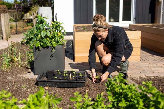 Capi europe lux bloempot vierkant 30x30 kopen? | Korting tot 38% | . nl Capi europe lux bloempot vierkant 30x30 kopen? | Korting tot 38% | . nl