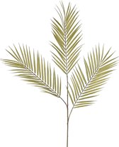 Greenmoods Kunstplanten - Kunstplant - Kunsttak - Varen - Zijde - Groen - 100 cm