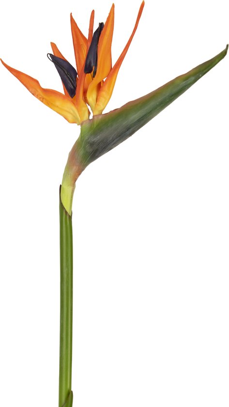 Kunstbloem Strelitzia 86 cm rood/paars