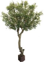Kunst Olijvenboom zonder olijven 270 cm